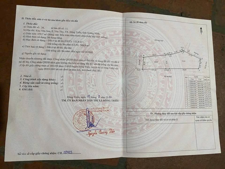 Đất nền Hồng Thái Đông 459.7m² - Sổ đỏ chính chủ, tiềm năng tăng giá!