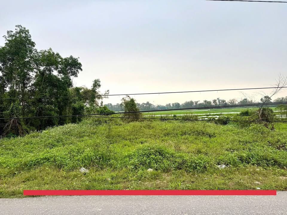 Đất nền Thạch Hà 138.6m² giá 1.8 tỷ - Đường thông 15m, đầu tư sinh lời!