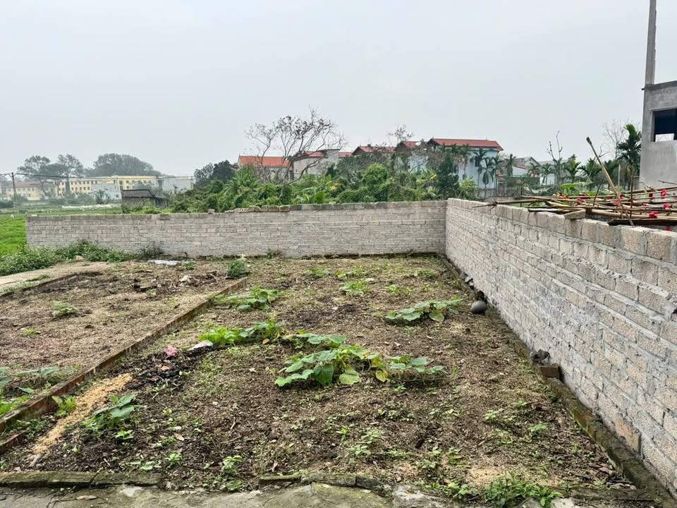 Đất nền Tuy Lai, Mỹ Đức 41m² - Sổ đỏ sẵn sàng, đầu tư sinh lời