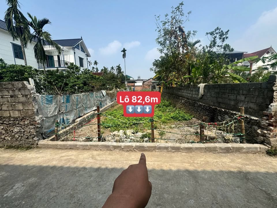 Đất nền Thôn Vân Mỹ Đức 165m² thỏa thuận - Giá tốt hiếm có