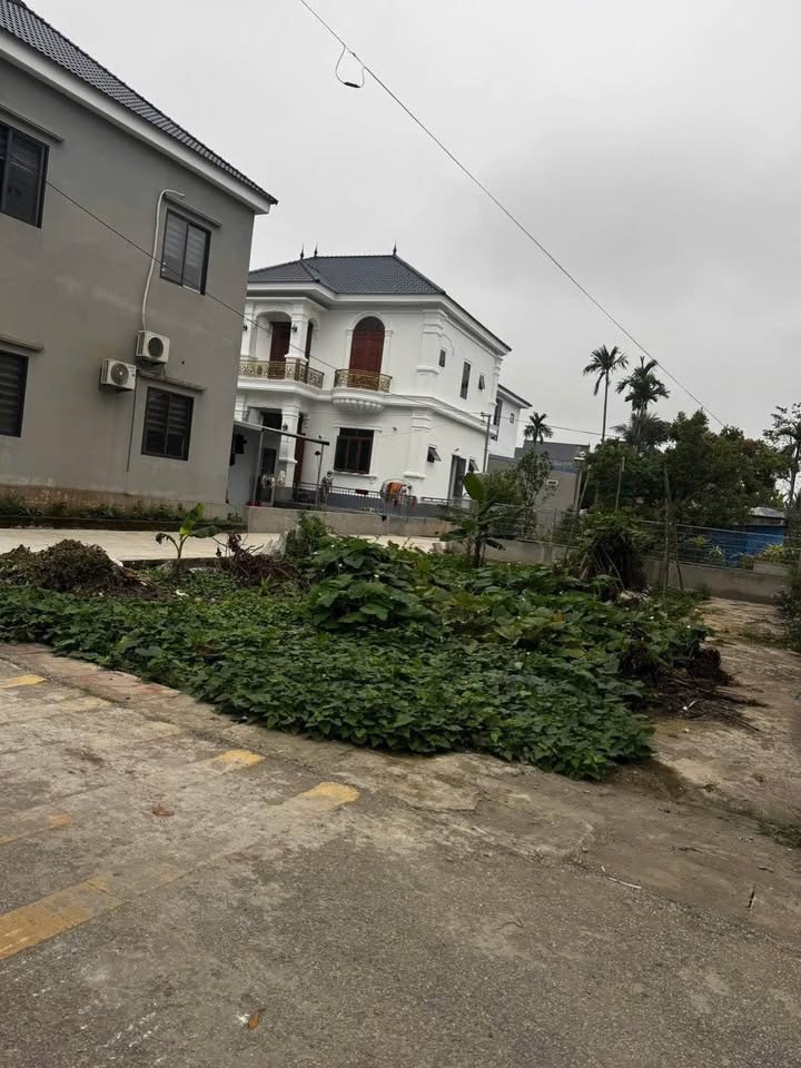 Nhà Phố 85m² Chân Cầu Quang Thanh - Vị Trí Đắc Địa, Đầu Tư Sinh Lời!