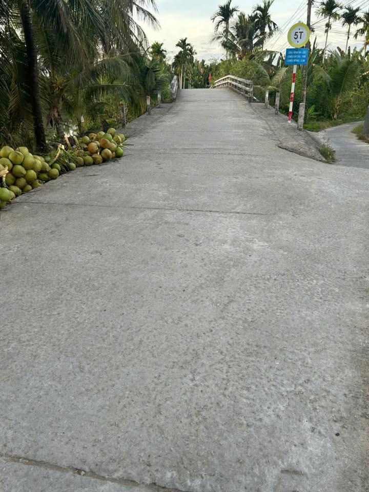 Bán gấp 10.000m² đất vườn Sóc Trăng - Trồng dừa, giá tốt đầu tư