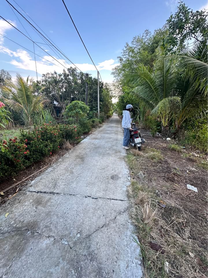 Đất nền Cần Thơ 6563m² - Sổ đỏ chính chủ, tiềm năng sinh lời!