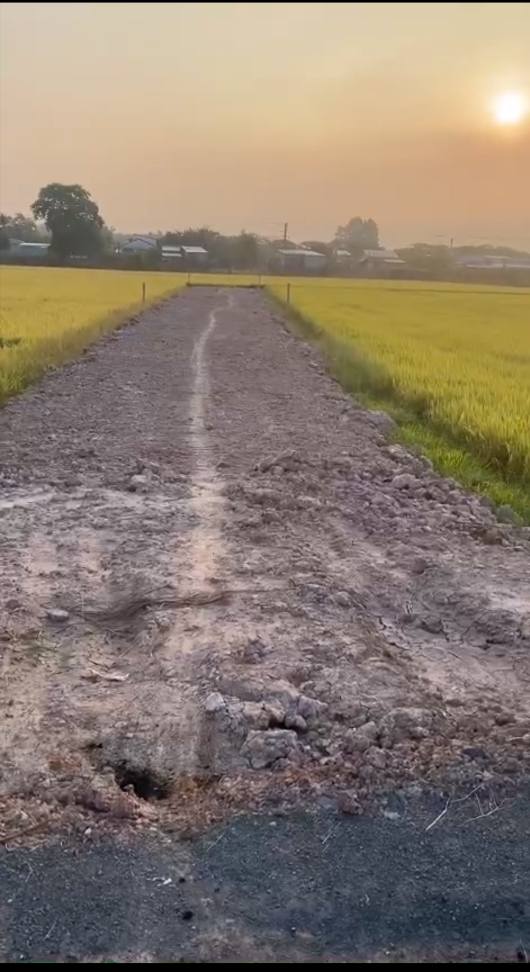 Đất Nền Mặt Tiền Bờ Bao Bến Cầu 560m² - Vị Trí Vàng Trung Tâm