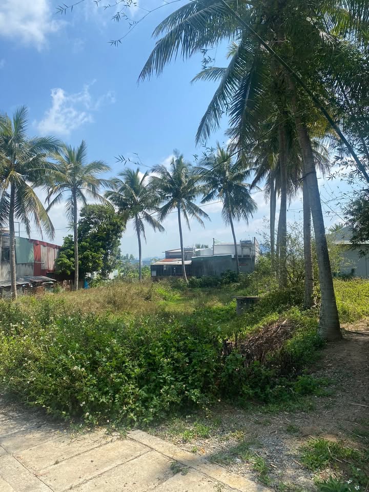 Đất nền An Khê, Gia Lai 211m² giá 1.25 tỷ - Không khí trong lành!