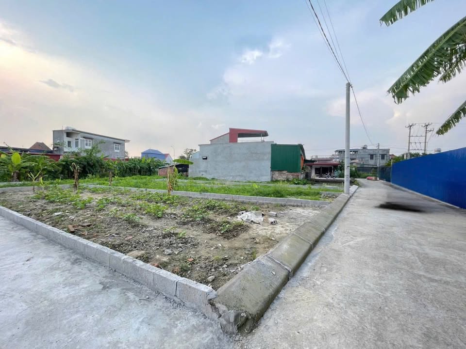 Đất nền Cẩm Văn, An Lão 66m² – Tiềm năng tăng giá cực mạnh!