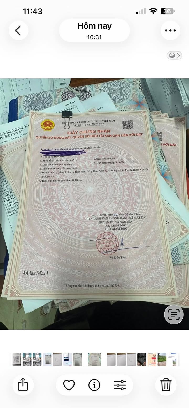 Đất nền Hưng Nghĩa, Hưng Nguyên 195.5m² - Đường to ô tô