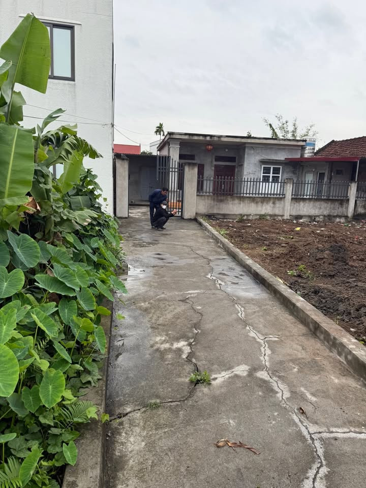 Đất nền F0 Xuân La - Kiến Thụy 66m² giá chỉ 7xx triệu - Sổ đỏ sẵn sàng