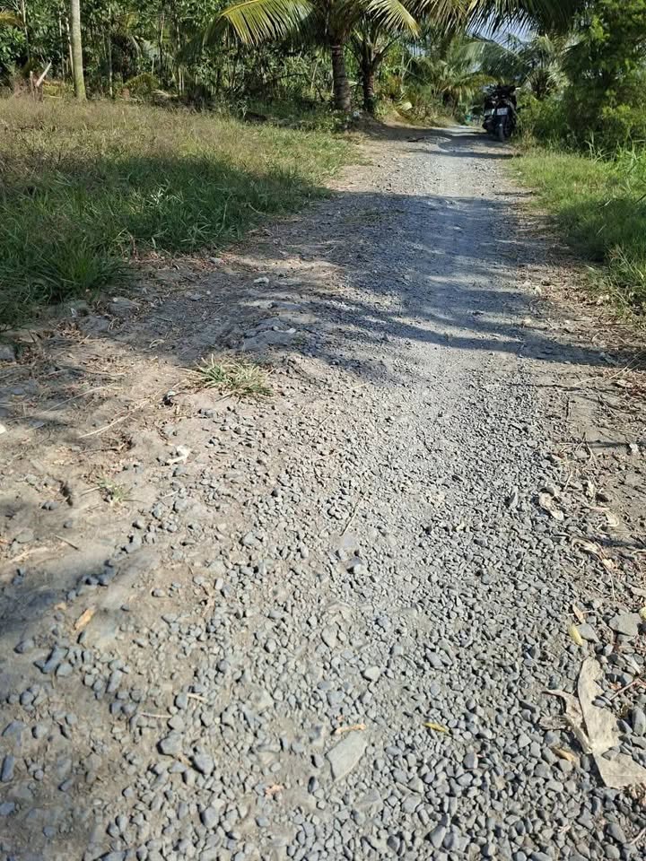 Đất nền Gò Công Đông 1200m² - Sổ đỏ chính chủ, giá chỉ 650 triệu!