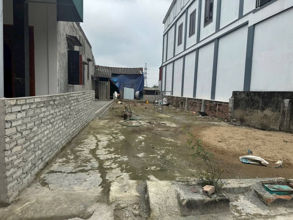 Đất Nền Hưng Tây 117m² - Sổ Đỏ Sẵn Sàng - Giá F0 CĐT