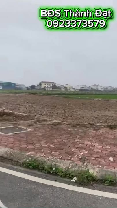 Đất nền Hoành Sơn Ngô Đồng 224m² giá thỏa thuận - Hạ tầng hoàn thiện