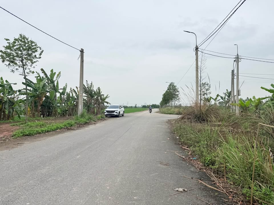 Đất nền Đông Sơn 120m² - Giá 9xx Triệu, Sổ Đỏ Sẵn Sàng