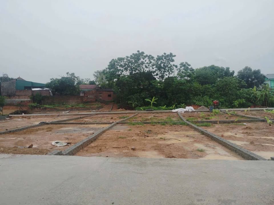 Đất nền Đồng Sậu, Bình Xuyên 82m² - Sổ đỏ, Giá Cực Sốc 9xx Triệu