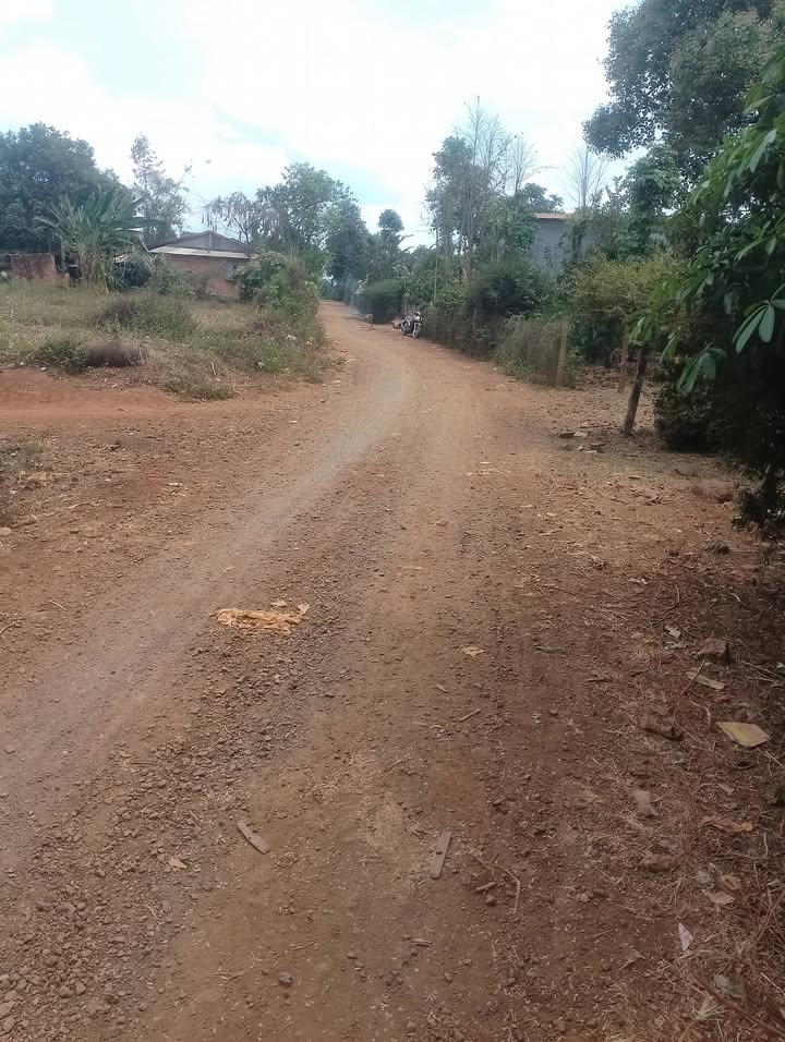 Đất nền Ea H'đinh, Cư M'gar 1000m² - Giá 35 Tỷ, Sổ Đỏ Sẵn Sàng