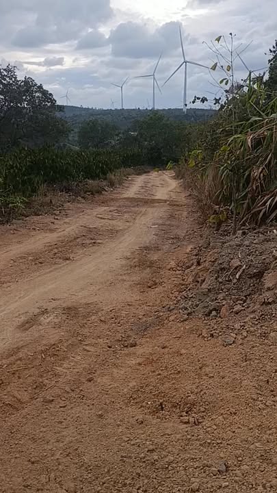 Bán Gấp 7.5 Sào Đất Trồng Điều Mặt Tiền 3 Đường Ô Tô - Ea Khal, Đắk Lắk