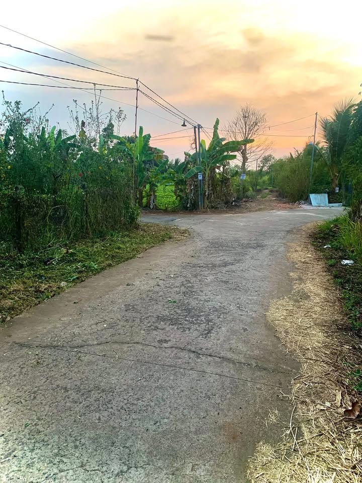 Đất nền Bảo Vinh Long Khánh 3000m² - Tiềm năng tăng giá vượt trội!