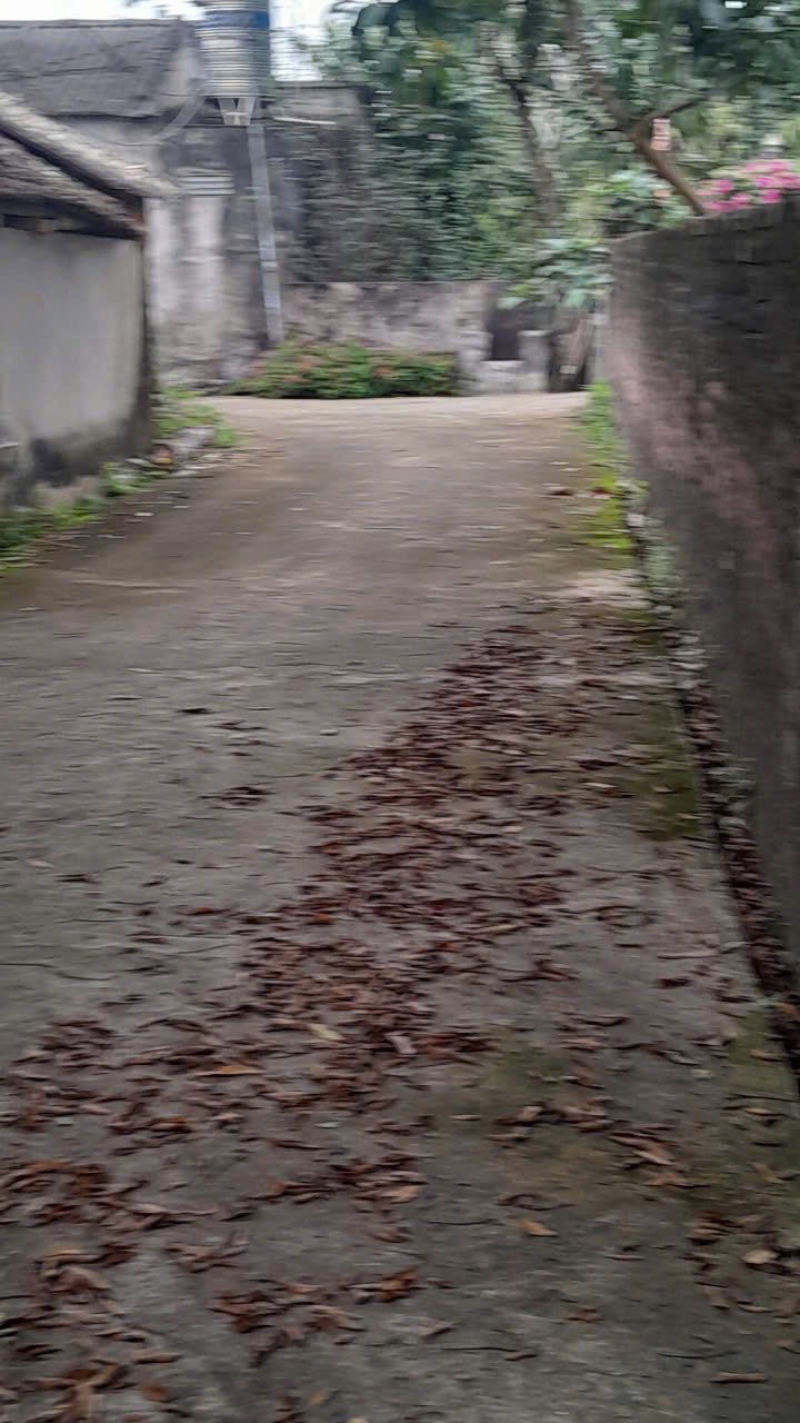 Đất nền Xã Phú Lộc 2580m² Nho Quan - Tiềm năng tăng giá vượt trội!