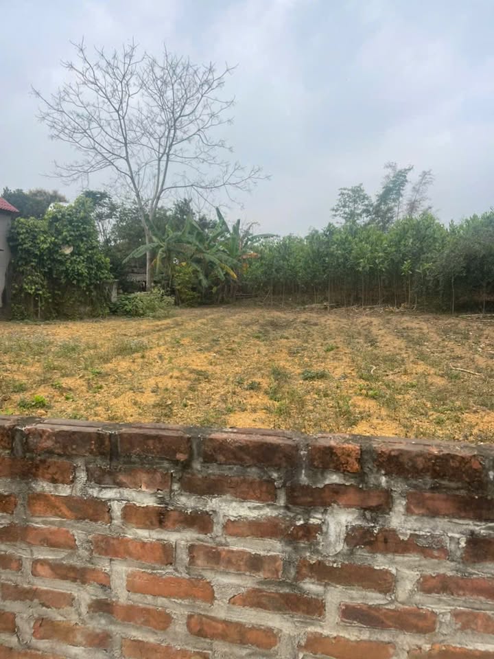 Đất nền Hòa Bình 525m² - Sổ đỏ chính chủ, view cánh đồng đẹp!