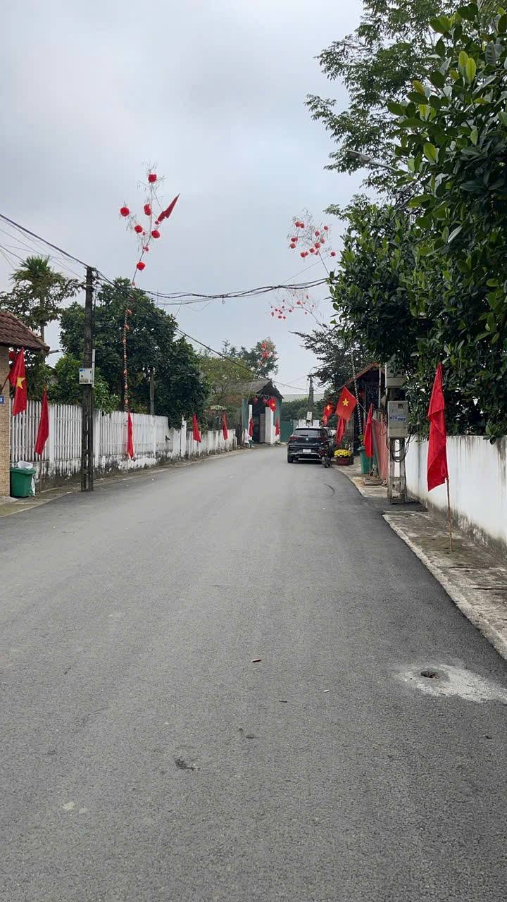 Đất nền Thanh Vân 115m² giá 1 tỷ - Tiềm năng tăng giá vượt trội!