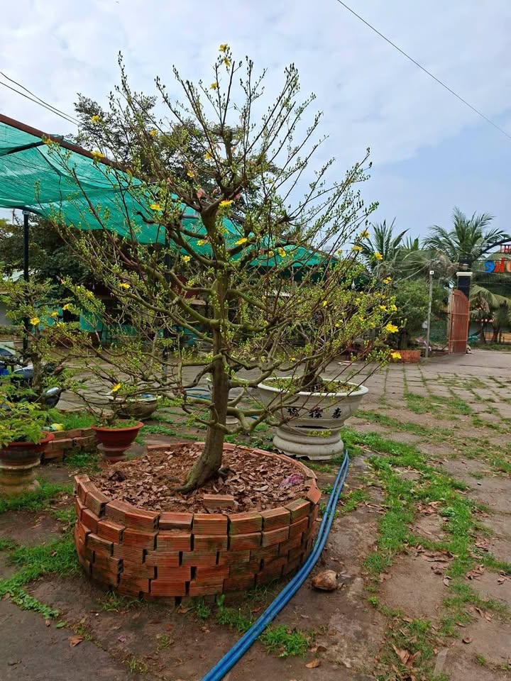 Quán ăn sân vườn Huyện Đức Hòa 2000m² - Mặt tiền kinh doanh đắc địa!