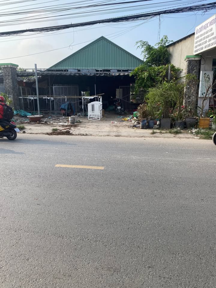 Mặt Tiền Kinh Doanh Đường Nhựa TLO9, Đức Hòa - 500m², 8 Triệu/Tháng