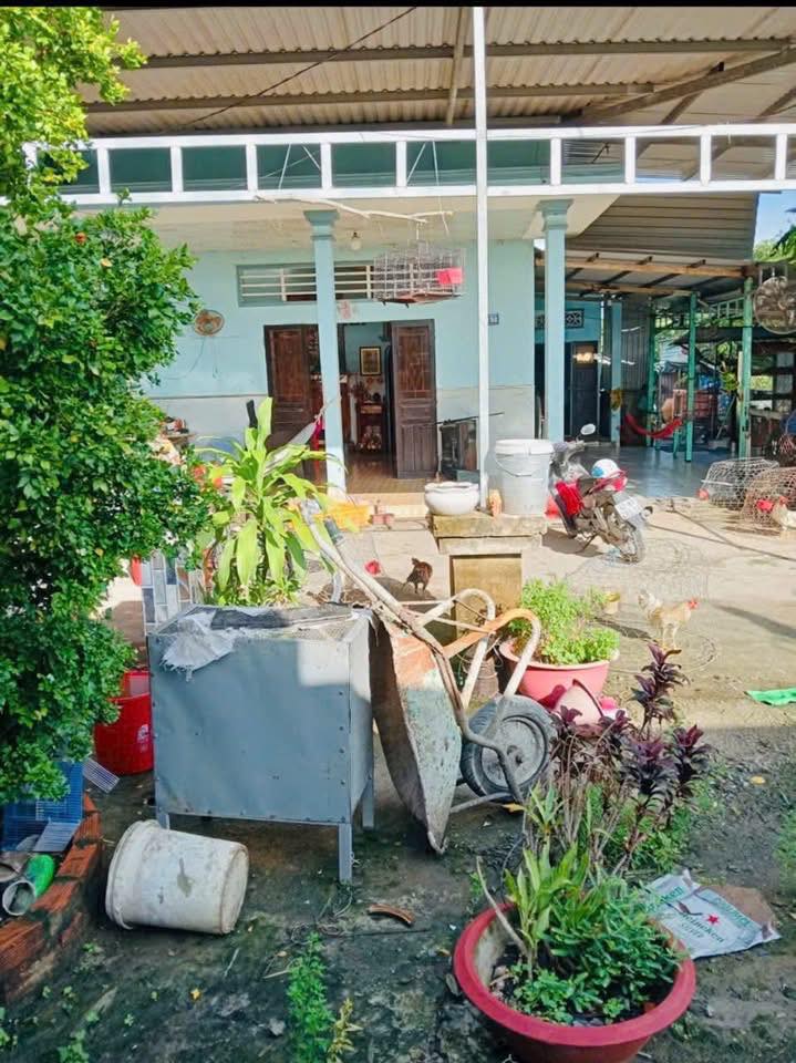 Đất nền Thanh Phú Bến Lức 555m² giá 2.8 tỷ - Sổ đỏ, đường ô tô!