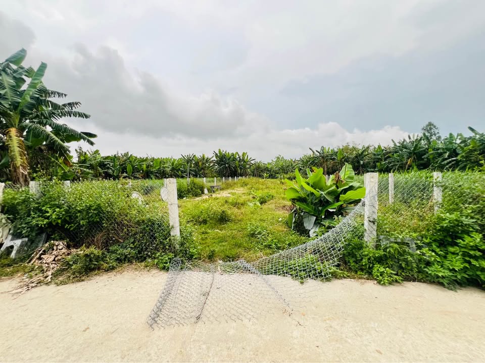 Đất vườn Phường Trương Quang Trọng 471m² - Giá đầu tư tốt, sổ hồng trao tay!