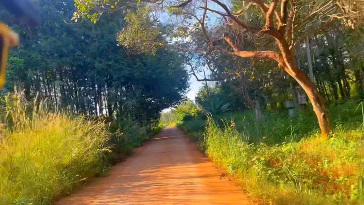 Bán Đất Vườn 5ha Xã Thống Nhất, Bình Phước - Mặt Tiền Bê Tông, Sẵn Điện 3 Pha