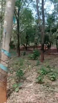 Đất vườn Bù Đăng 1.75ha giá 2.887 tỷ - Đầu tư dài hạn sinh lời!