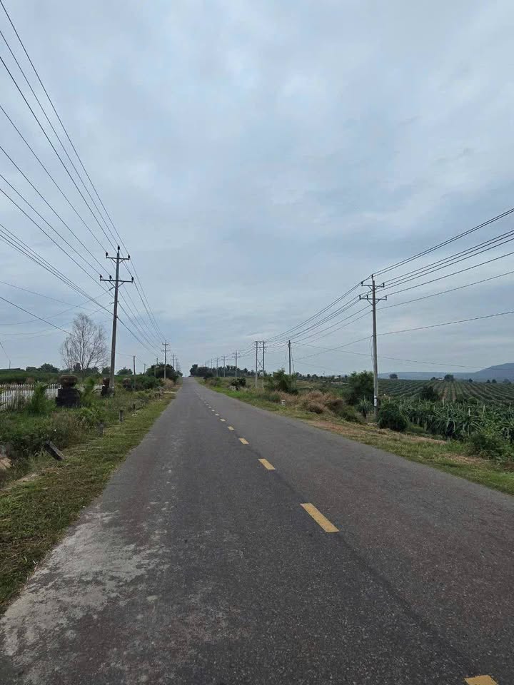 Đất nền Hàm Thuận Nam 11.000m² giá 19 tỷ - Tiềm năng tăng giá vượt trội!