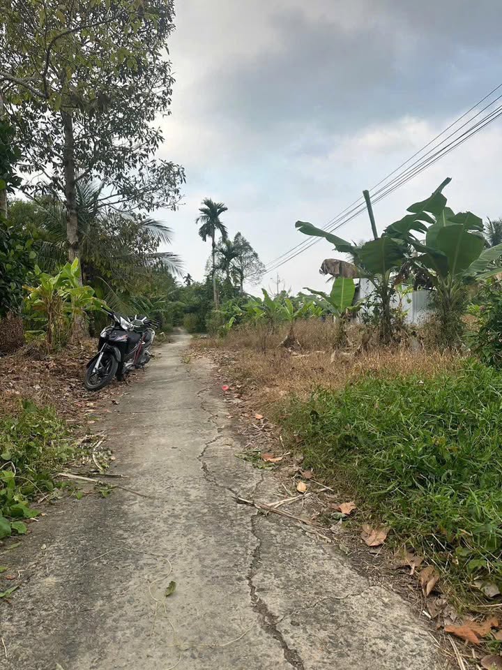 Đất nền Vị Thanh Hậu Giang 369m² chỉ 190 triệu - Tiềm năng tăng giá!