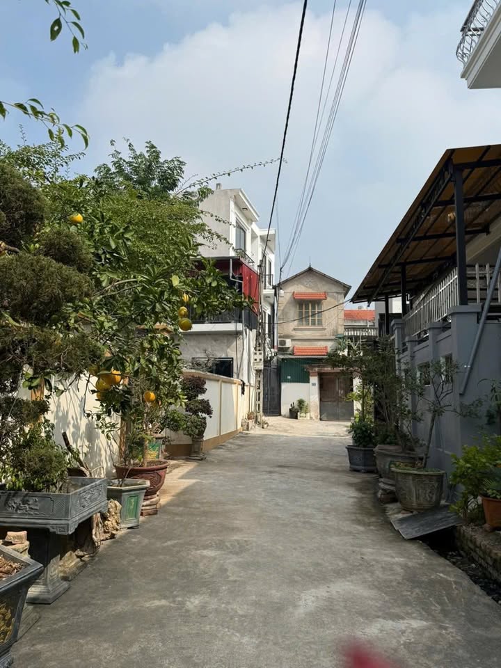 Đất nền Tam Hưng, Thanh Oai 42.7m² - Tiềm năng tăng giá vượt trội!