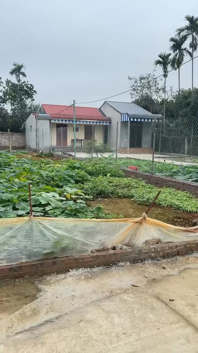 Bán đất 193m² sổ đỏ chính chủ tại Quốc Oai, Hà Nội - Giá tốt