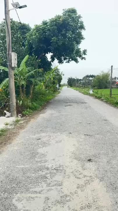 Đất nền Quỳnh Phụ Thái Bình 152m² - Sổ đỏ chính chủ, đường lớn 15m