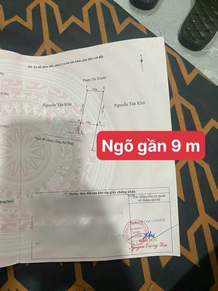 Bán Gấp Đất Lương Quy, An Dương 60m² - Ngõ Ô Tô 1.39 Tỷ