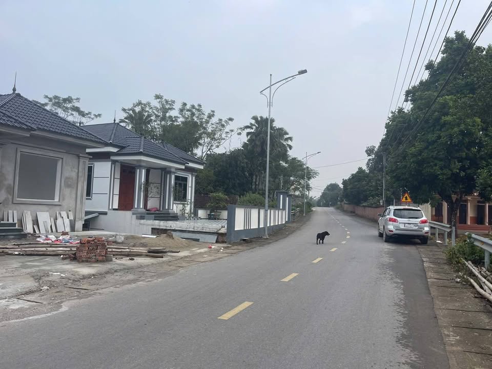 Đất nền Thanh Đình Việt Trì 349m² giá 1.5 tỷ - Sổ đỏ chính chủ