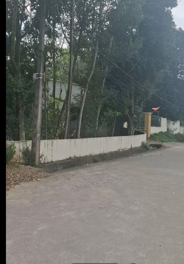 Đất Vườn Phú Thọ 421m² - Lưng Tựa Sơn, Mặt Hướng Thủy - Giá Đầu Tư 1.x Tỷ