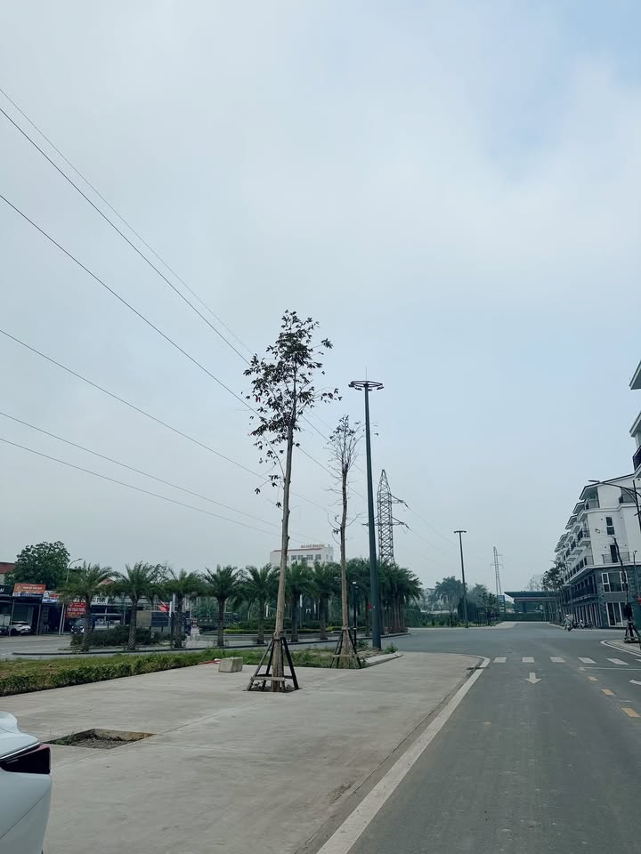 Nhà Phố Palm Manor Hạ Hòa 130.5m² - Mặt tiền kinh doanh đắc địa!