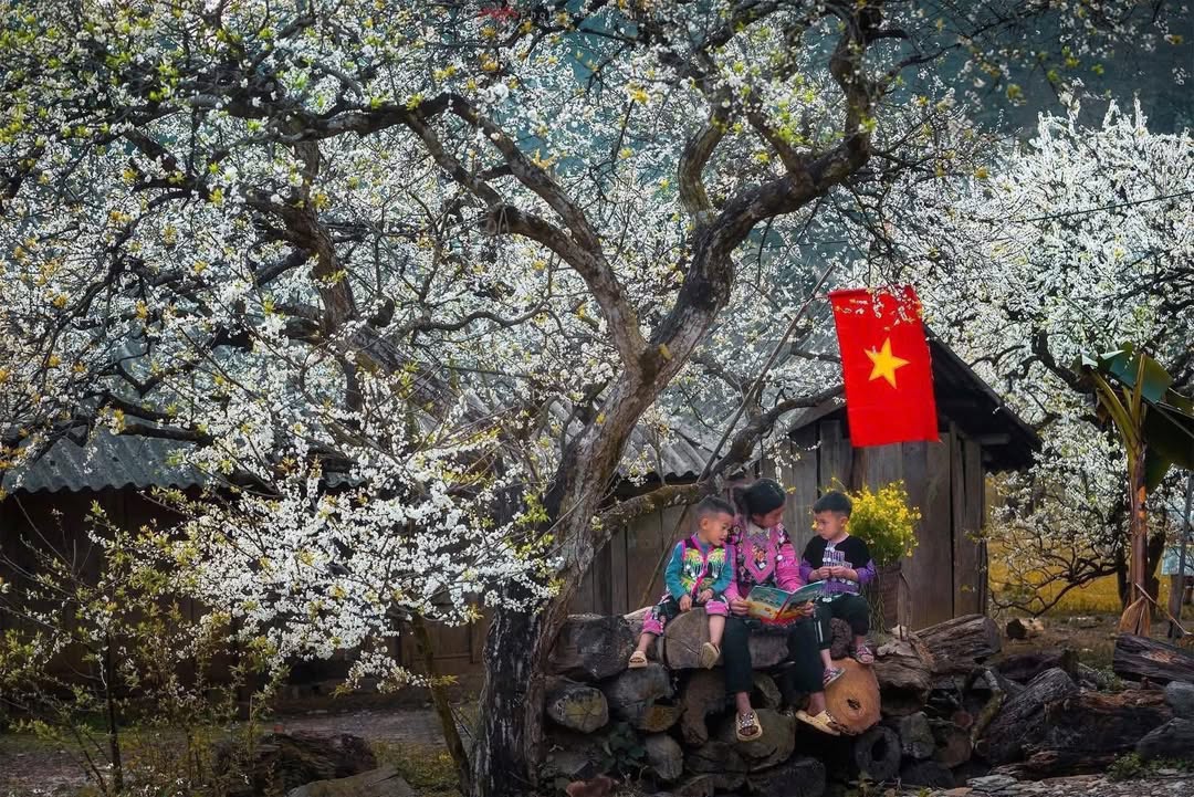 Đất nền Mộc Châu 500m² - Tiềm năng nghỉ dưỡng sinh lời!