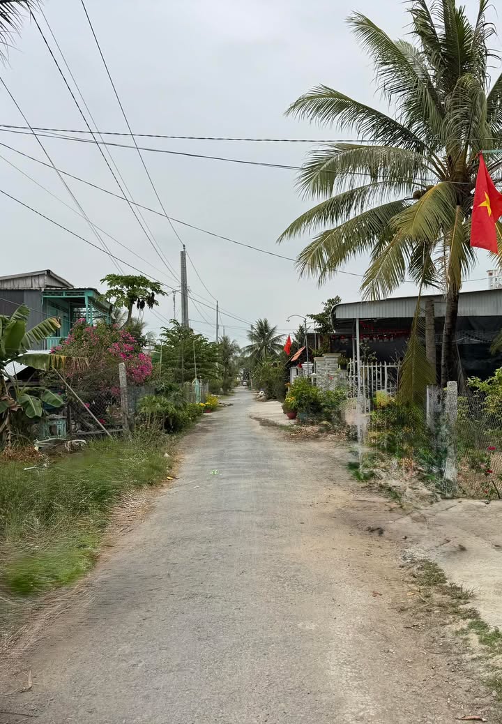 Đất Nền Thổ Cư 100% Tân Hộ Cơ, Tân Hồng, Đồng Tháp - 260 Triệu/Nền 5m