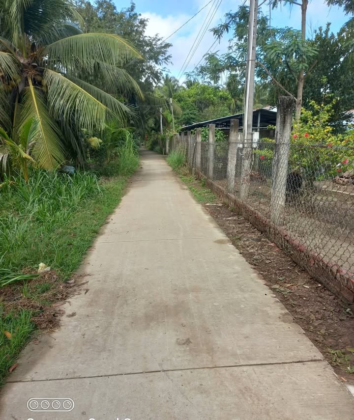 Bán Gấp Vườn Vú Sữa 5000m² Tại Trà Cú, Vĩnh Long - 900 Triệu