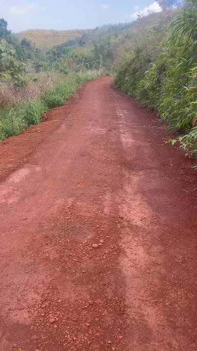 Đất Vườn Bình Tân 1.5ha giá 670 triệu - Giá đầu tư tốt!