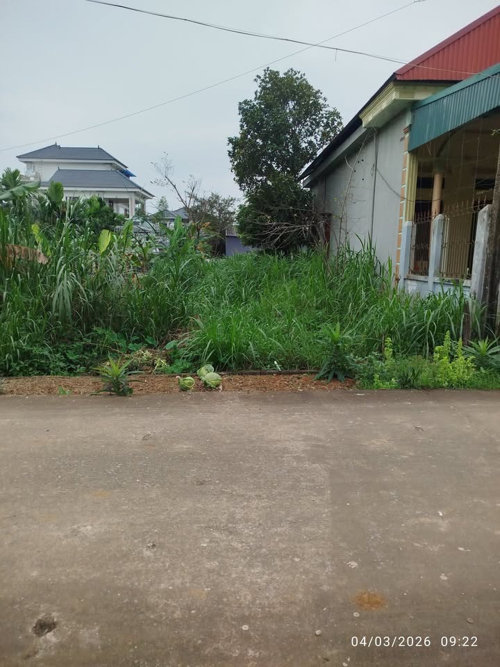 Đất nền Thanh Hóa 100m² - Mặt tiền rộng 8m, gần Tỉnh lộ, giá chỉ 4xx triệu