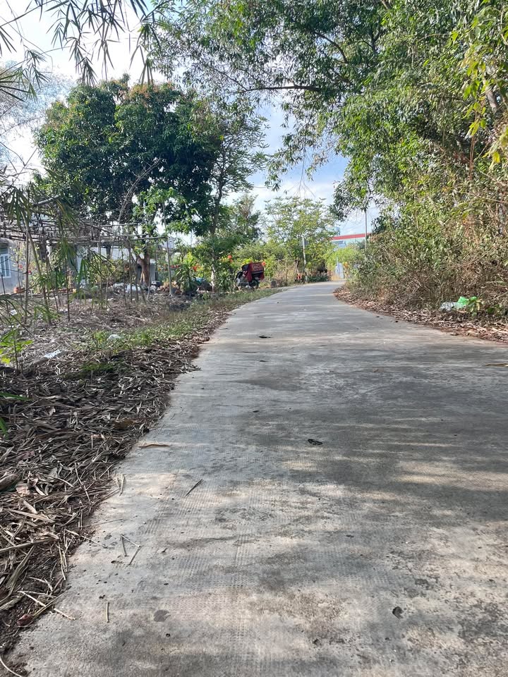 Đất Vàng Xã Phú Hòa, Định Quán - 200m² Sổ Hồng Sẵn Sàng - 4xx Triệu