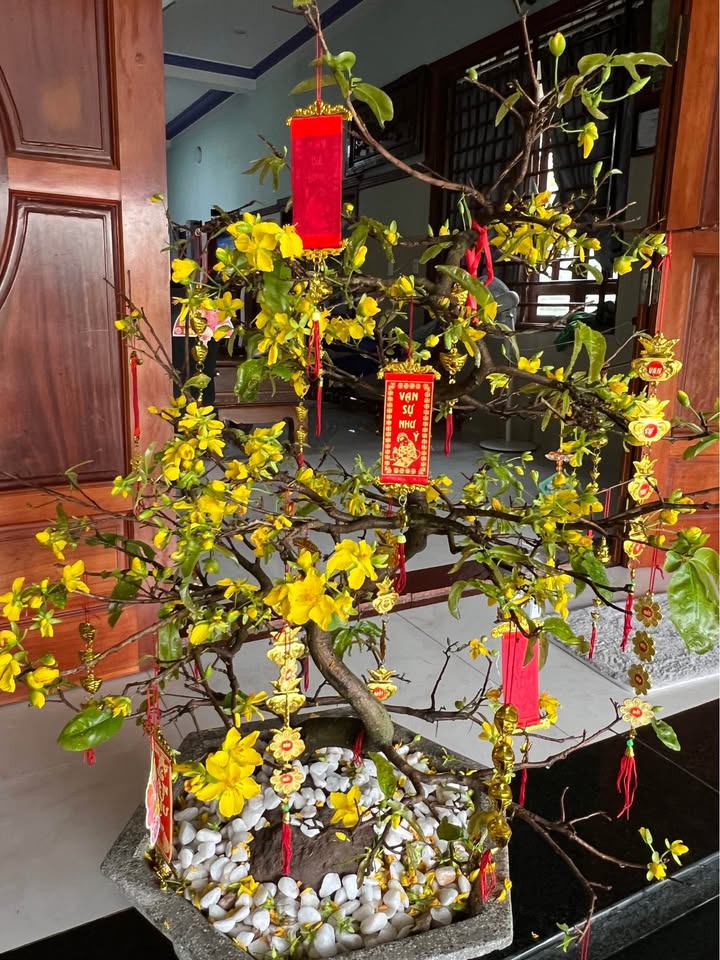 Nhà 108m² Long Thành, Đồng Nai - Giá Giảm Sốc 2.7 Tỷ, Sẵn Sàng Ở Ngay