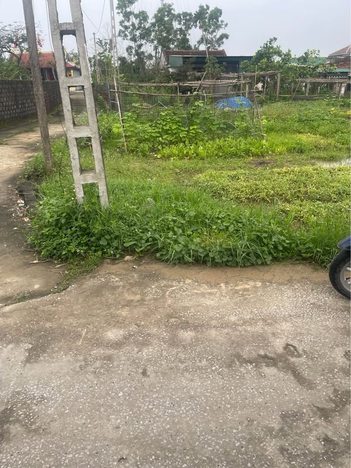 Đất nền Nghi Long, Vinh 104.8m² - Vị trí vàng, sổ đỏ sẵn sàng!