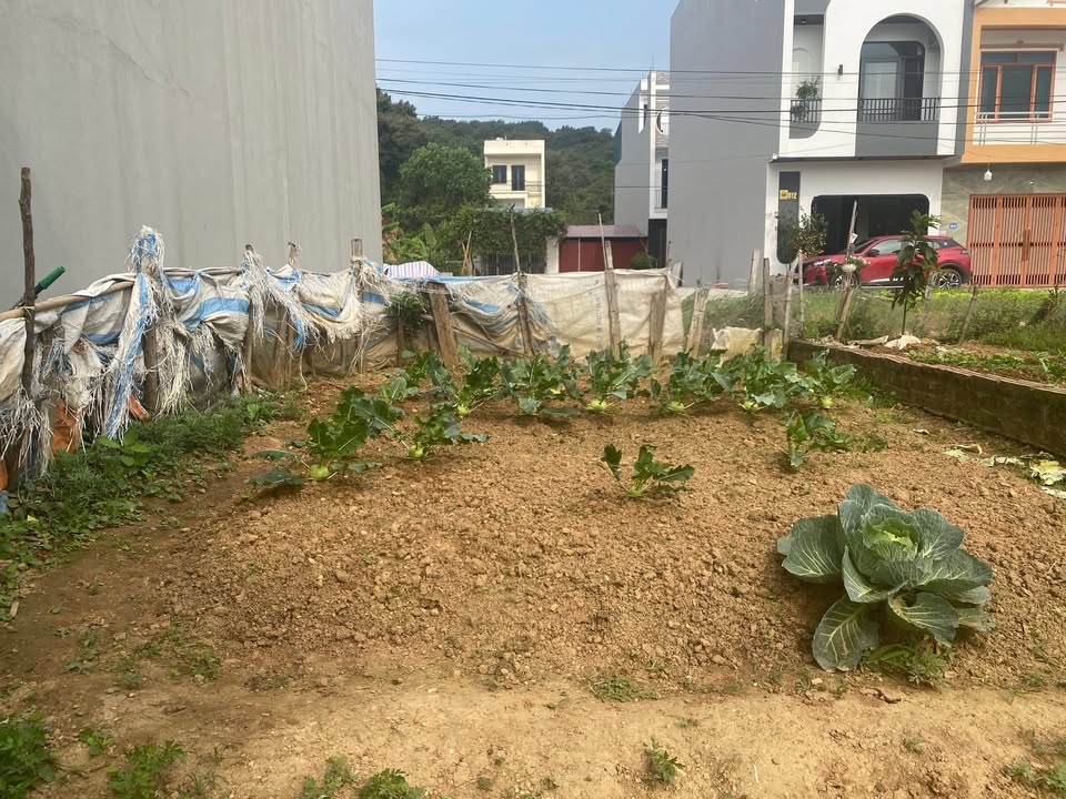 Đất nền Sóc Sơn 80m² - Sổ đỏ chính chủ, trung tâm thị trấn!