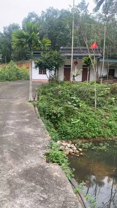 Bán Gấp Đất Vườn 7500m² Bám Suối, Sơn Tây - Sổ Đỏ Đủ, Sẵn Sàng Sang Tên