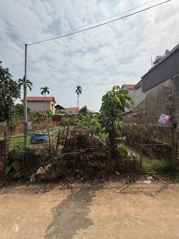 Đất nền Mê Linh 120m² - Pháp lý rõ ràng, ô tô vào tận đất!