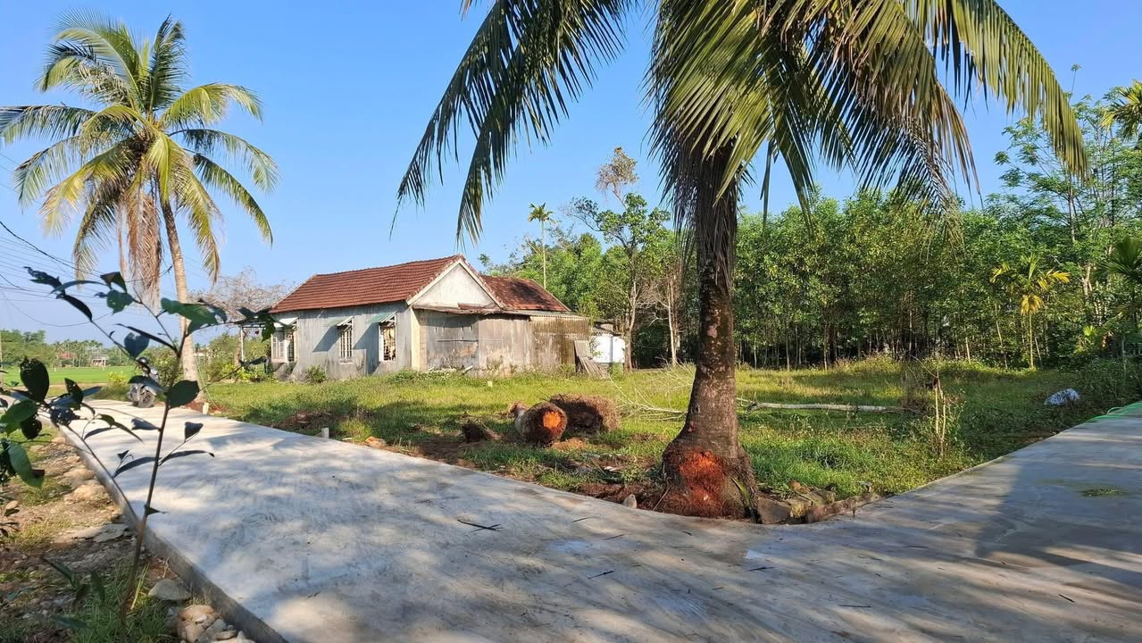 Đất Nền Đồng Xuân - Lộc Điền 242m² - Hướng Nam Tài Chính 4xx Tỷ